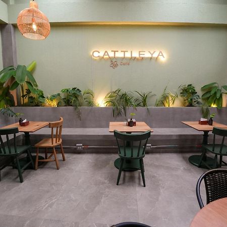 Apartamentos Housy Laureles Medellín Buitenkant foto